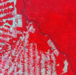 Falschfarben-Satellitenbild der Abholzung im Bundesstaat Rondonia, Brasilien im Jahr 2000. Wissenschaft Geographie